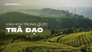 Văn hoá trà đạo Trung Quốc
